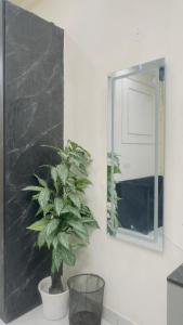 a plant sitting on a counter next to a mirror at The Skyline Studios in Ghaziabad