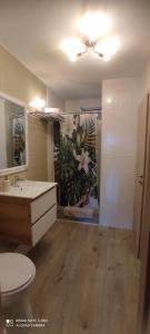 a bathroom with a sink and a toilet and a mirror at Baross apartman in Kaposvár +30 photos
