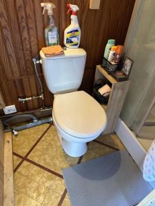 a bathroom with a toilet and some cleaning products at Le Chalet de Marie France in Combs-la-Ville +26 photos