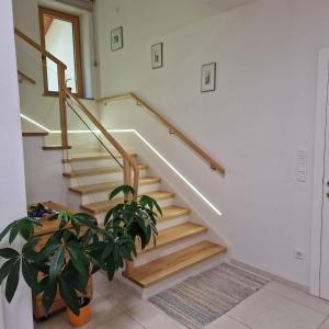 a staircase in a home with a potted plant at Haus Leblhuber in Windischgarsten