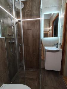 a bathroom with a shower and a toilet and a sink at Kis kuckó in Tapolca