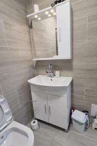 a bathroom with a sink and a mirror and a toilet at Halalko Konak in Šmarje-Sap