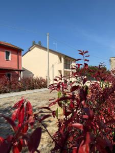 a plant with red leaves in front of a house at Soffio del Mar in Pila