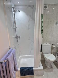 a bathroom with a tub and a toilet and a shower at Guest house Adonis in Bruges +7 photos