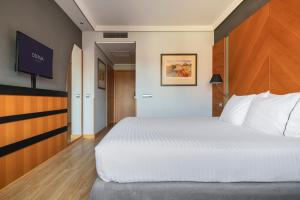 a bedroom with a large bed and a flat screen tv at Dorma Juan de Austria in Valladolid
