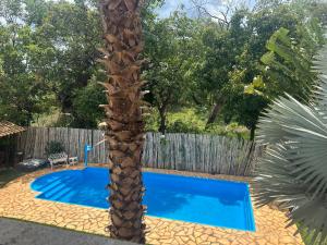 a palm tree next to a blue swimming pool at Pousada Brisas da Serra in Serra do Cipo