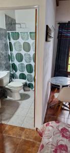 a bathroom with a toilet and a sink at Hotel Rancul Mamull Mapu in Rancul