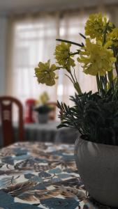 a vase with yellow flowers sitting on a table at Hotel Molí Beach in Benidorm +17 photos