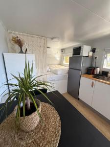 a small apartment with a kitchen and a bedroom at קרוואן משקיף לים in HaBonim +48 photos