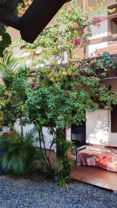 a bunch of flowers are growing on a building at Pousada Laia in Conde