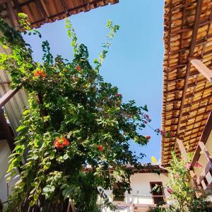 a plant with red flowers in a building at Pousada Laia in Conde