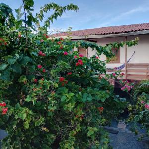 a bush with red roses in front of a house at Pousada Laia in Conde