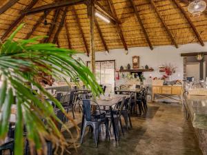 a dining room with tables and chairs in a building at Carlo's Mountain Lodge in Usakos