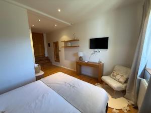 ein Schlafzimmer mit Bett, Fernseher und Stuhl in der Unterkunft La ferme de Rapan Pérouges in Pérouges