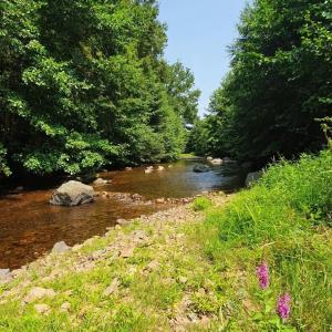 a river with trees and rocks in the water at Friendly Camping and Lodges in Saint-Pardoux-la-Rivière +4 photos
