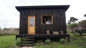 a man is looking out the window of a tiny house at Las Chircas Chapadmalal in Chapadmalal
