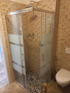 a shower in a bathroom with a toilet at Giardino sul lago, La Vigna in Nesso