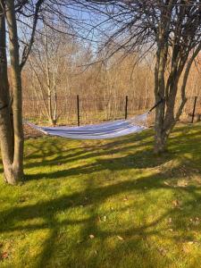 a hammock in the middle of a field with trees at Haus Orion in Eupen