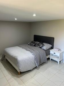 a bedroom with a bed and a side table at Chez Lina in Chartres