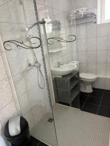a bathroom with a shower and a toilet and a sink at Chambre Confort 4 personnes in Toul
