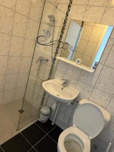 a bathroom with a shower and a toilet and a sink at Chambre Confort 4 personnes in Toul