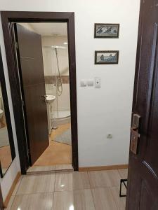a door leading to a bathroom with a shower at Дунав апарт Danube apart in Vidin +13 photos