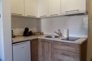 a kitchen with a sink and a counter top at Mali Raj in Zlatibor