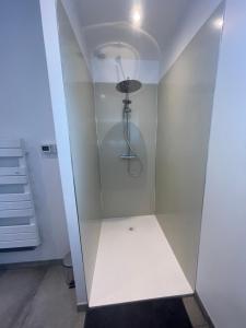 a walk in shower with a white wall at Gîte de la Nolière in La Lande-Saint-Siméon +14 photos