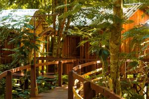 a wooden walkway in a garden with a tree at Vista do Lago Jungle Lodge in Cajual