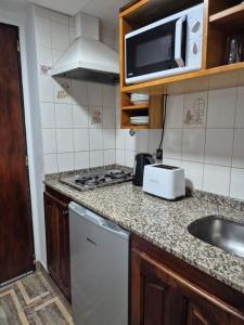 a small kitchen with a sink and a microwave at Colorina Bariloche en edificio Bariloche Center in San Carlos de Bariloche