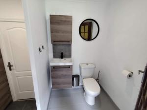 a small bathroom with a toilet and a mirror at La Ronce maison d hote - piscine SPA in Rouvres +21 photos