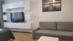 a living room with a couch and a flat screen tv at Przestronny Apartament typu Studio, GARAŻ W CENIE in Wrocław