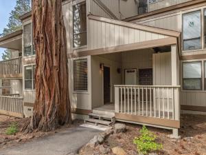 a house with a porch next to a tree at Rooted Resort in Kings Beach