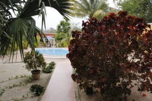 Piscina di Posada Ya´ax Ich o nelle vicinanze