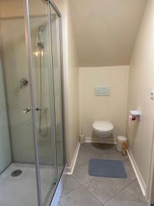 a bathroom with a shower and a toilet at Pure comfort in Entrelacs +21 photos