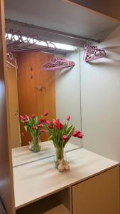 a mirror with two vases with flowers on a counter at HappyPlace - Kolpa PremiumMobileHome in Metlika +48 photos