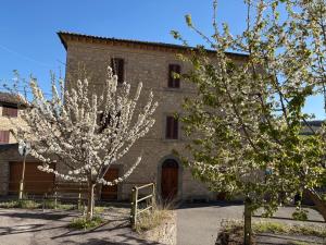 two trees with white flowers in front of a building at Il Palazzo del Borgo - Affittacamere in Todi