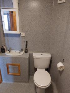 a bathroom with a white toilet and a sink at Bellevue Inn in Saint Margarets Hope +7 photos