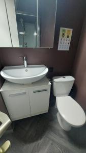 a bathroom with a sink and a toilet and a mirror at 1A chambre très confortable 01 in Audun-le-Tiche