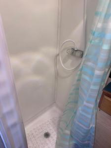 eine weiße Dusche mit blauem Duschvorhang im Badezimmer in der Unterkunft Comfy camper in Tampa