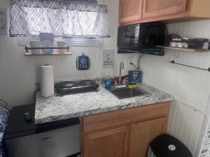 eine kleine Küche mit Spüle und Mikrowelle in der Unterkunft Comfy camper in Tampa