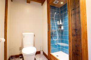 a bathroom with a toilet and a shower at Asobi Lodge in Kyotango