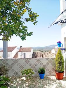 a balcony with potted plants on a wall at Habitación en Casa Dulce Romero in Rute