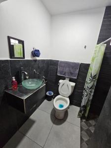 a bathroom with a green sink and a toilet at Hostal Livette in Guadalajara
