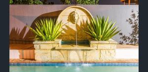 a fountain in the middle of a pool with two plants at The Studio on Barberry with a Pool in Perth +4 photos