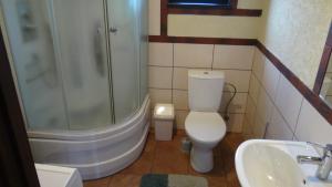 a bathroom with a shower and a toilet and a sink at Aglonas Līdakas in Priežmale +56 photos