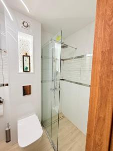 a bathroom with a glass shower and a toilet at Zakątek Lechicki Domek in Tarnów Jezierny +12 photos