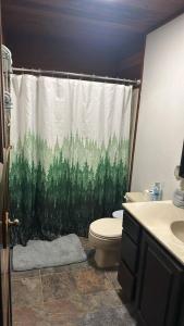 a bathroom with a toilet and a shower curtain at Cozy Little Dipper in North Pole +20 photos