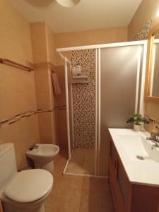 a bathroom with a shower and a toilet and a sink at El DESAFÍO in Riópar +24 photos