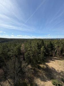 an overhead view of a forest of trees at Váš domov v Kruškách in Rotava